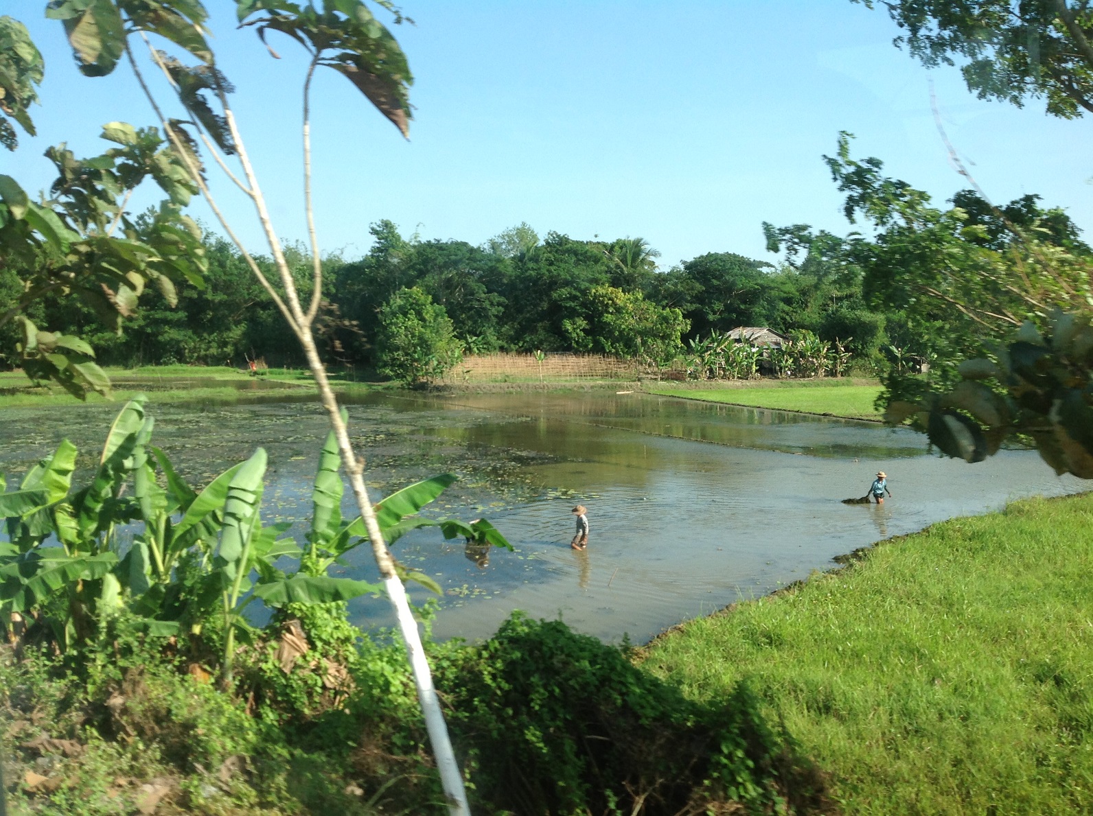 verso_Ngwe_Saung verso_Ngwe_Saung